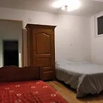 Insolite! Plusieurs Dans Ferme Equestre *