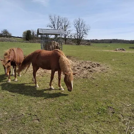 דירה Insolite! Plusieurs Dans Ferme Equestre *