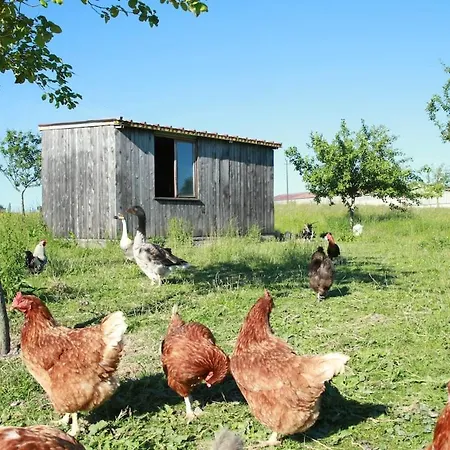 Insolite! Plusieurs Dans Ferme Equestre Lejlighed Rehaincourt
