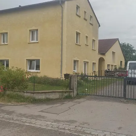 Insolite! Plusieurs Dans Ferme Equestre *