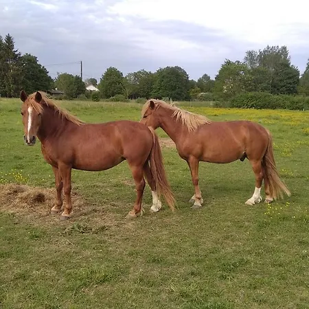 Appartement Insolite! Plusieurs Dans Ferme Equestre *