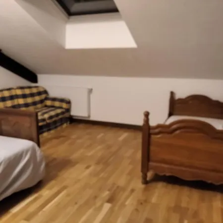 Insolite! Plusieurs Dans Ferme Equestre