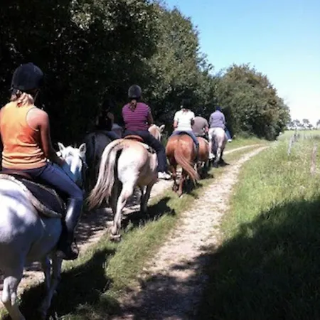 Insolite! Plusieurs Dans Ferme Equestre דירה Rehaincourt