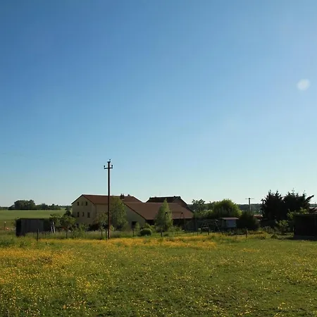 Insolite! Plusieurs Dans Ferme Equestre