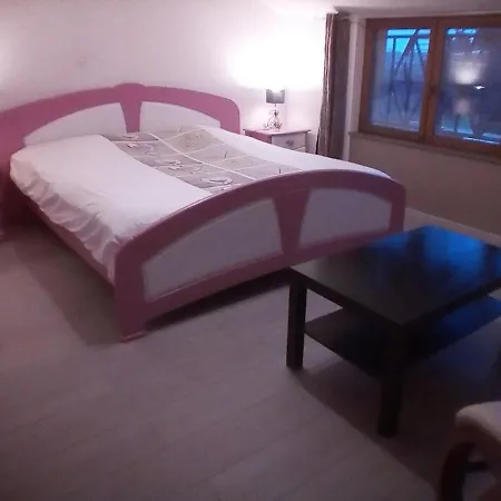 Insolite! Plusieurs Dans Ferme Equestre