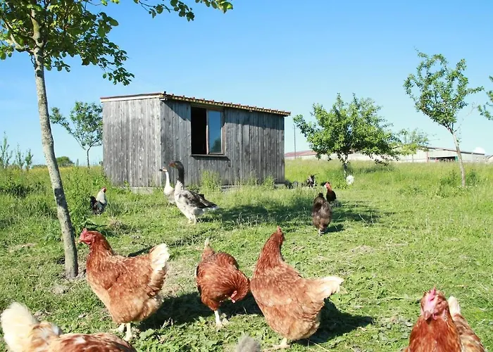 Insolite! Plusieurs Dans Ferme Equestre Apartmán Rehaincourt