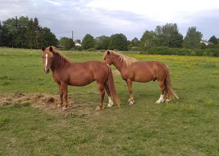 Apartmán Insolite! Plusieurs Dans Ferme Equestre *