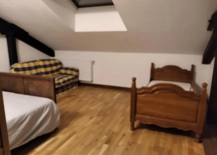 Insolite! Plusieurs Dans Ferme Equestre