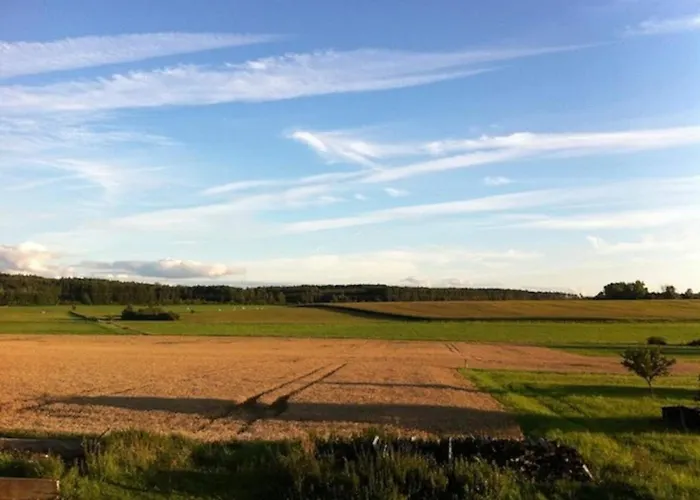Insolite! Plusieurs Dans Ferme Equestre