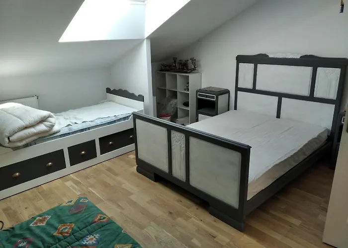 Insolite! Plusieurs Dans Ferme Equestre