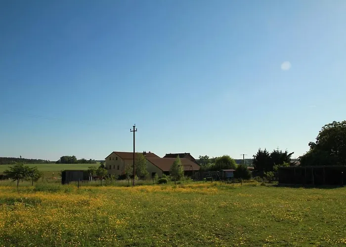 Insolite! Plusieurs Dans Ferme Equestre