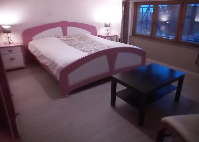 Insolite! Plusieurs Dans Ferme Equestre